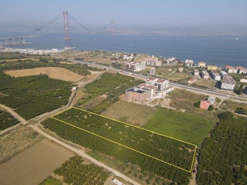 SARI ALAN İÇERİSİNDE 6804 m² DENİZE 500 m SATILIK ARAZİ