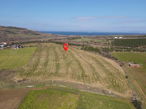 ÇANAKKALE LAPSEKİ  ALPAGUT KÖYÜ   109 ADA 66 PARSEL 16.687 m²  K